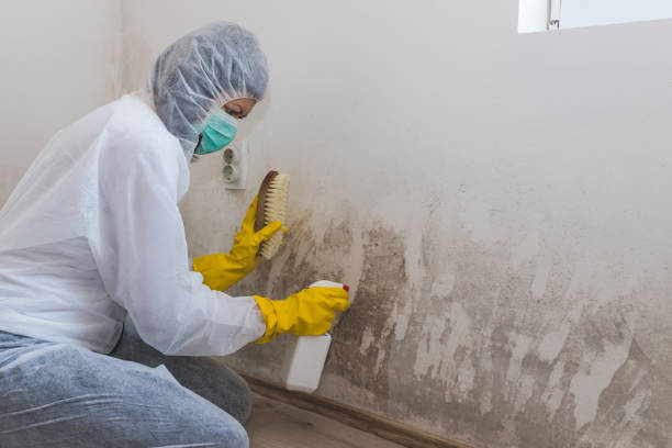 Best Mold Testing  in Kermit, TX