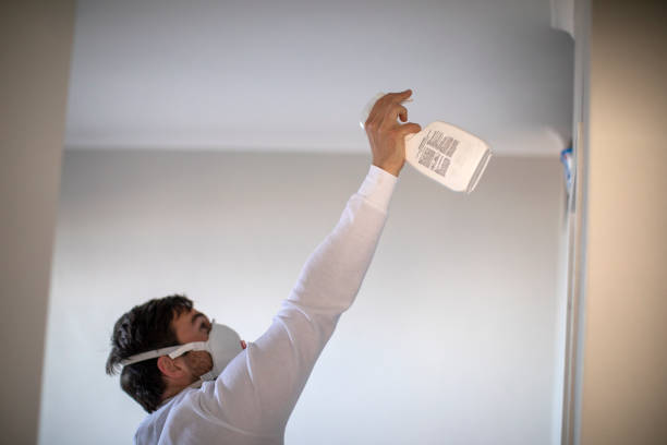 Best Mold Cleaning Services  in Kermit, TX
