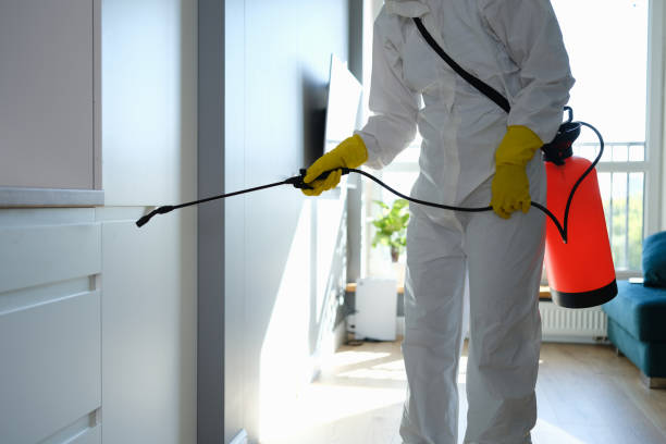 Best Local Mold Removal Service  in Kermit, TX