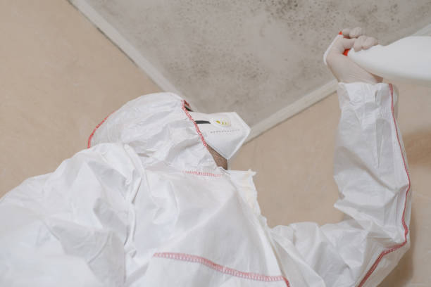 Best Certified Mold Removal  in Kermit, TX