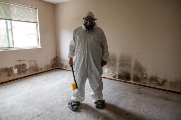 Best Attic Mold Removal  in Kermit, TX